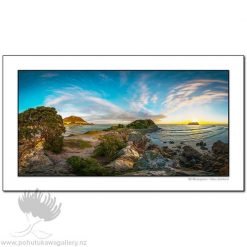 Kirk O'Donoghue Shadow Board - Leisure Island (Mount Maunganui)