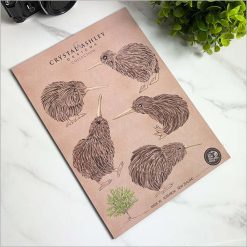 MDF Pop Outs - Kiwi Set