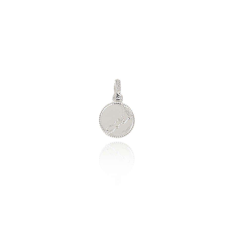 Evolve Charm | NZ Map Coin Dangle
